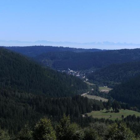 Haus Aretz Daire Feldberg  Dış mekan fotoğraf