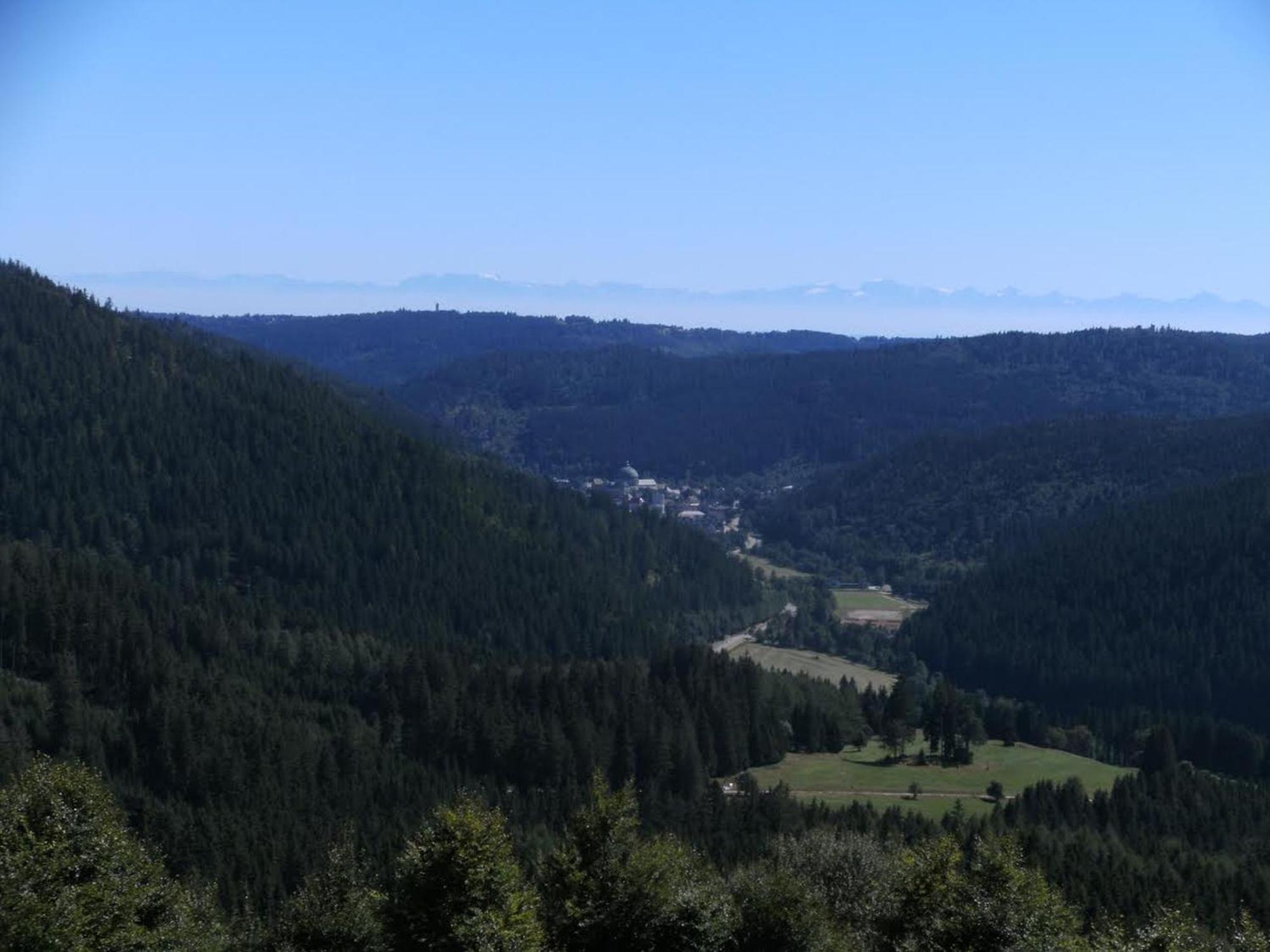 Haus Aretz Daire Feldberg  Dış mekan fotoğraf